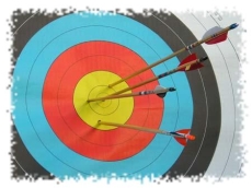 bullseye