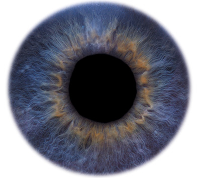 eyeball