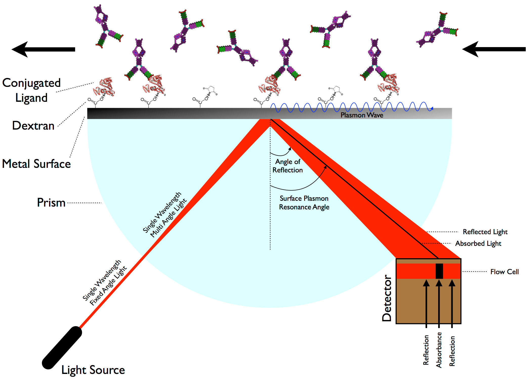 _images/Surface_Plasmon_Resonance_%28SPR%29.png