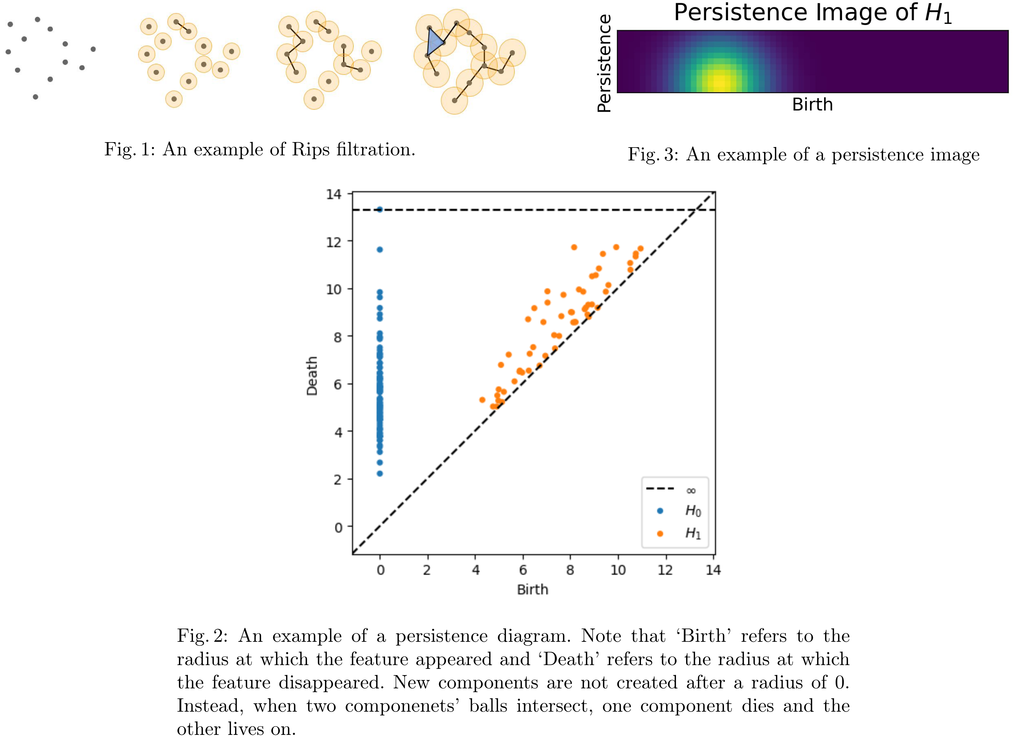 Topological Persistence Image